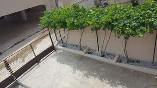 Апартаменты Apartments Diva Добра-Вода Апартаменты-9